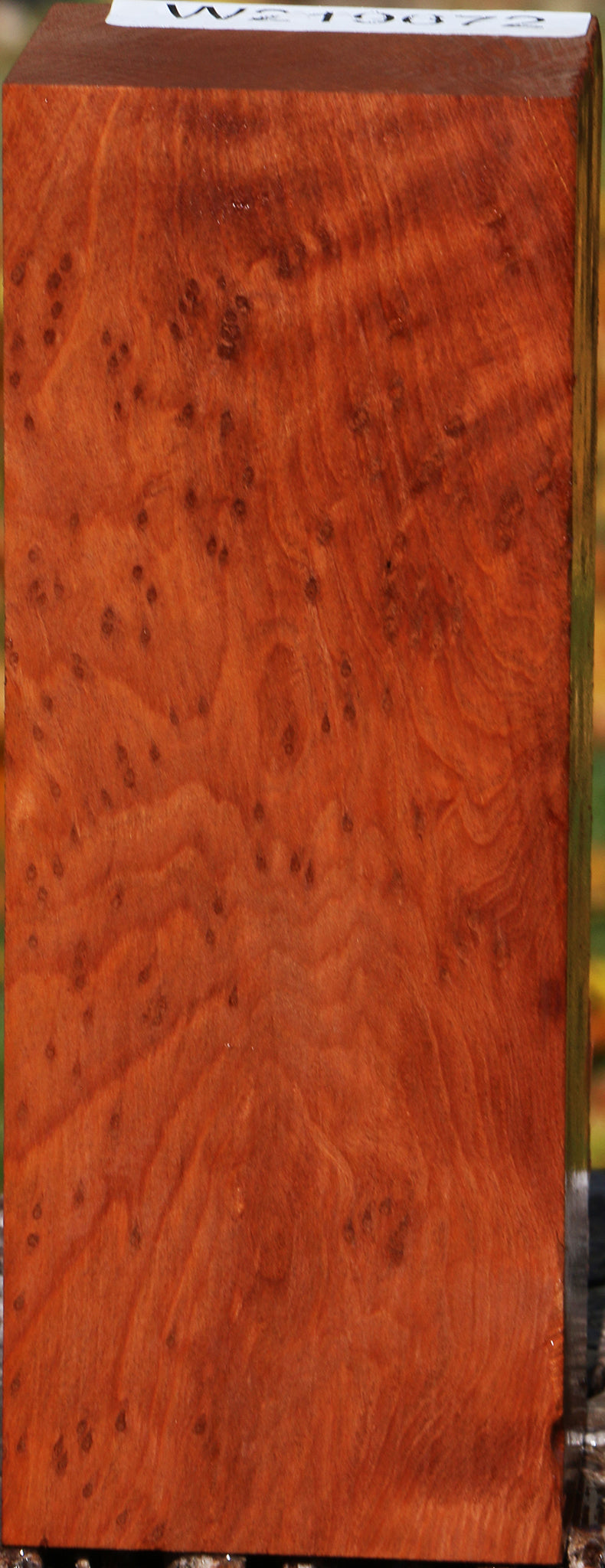 Extra Fancy Redwood Burl Turning Square