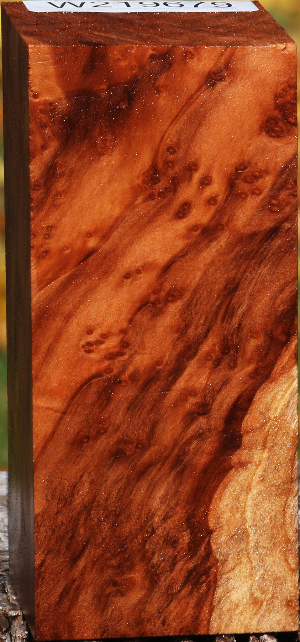 Redwood Burl Turning Square