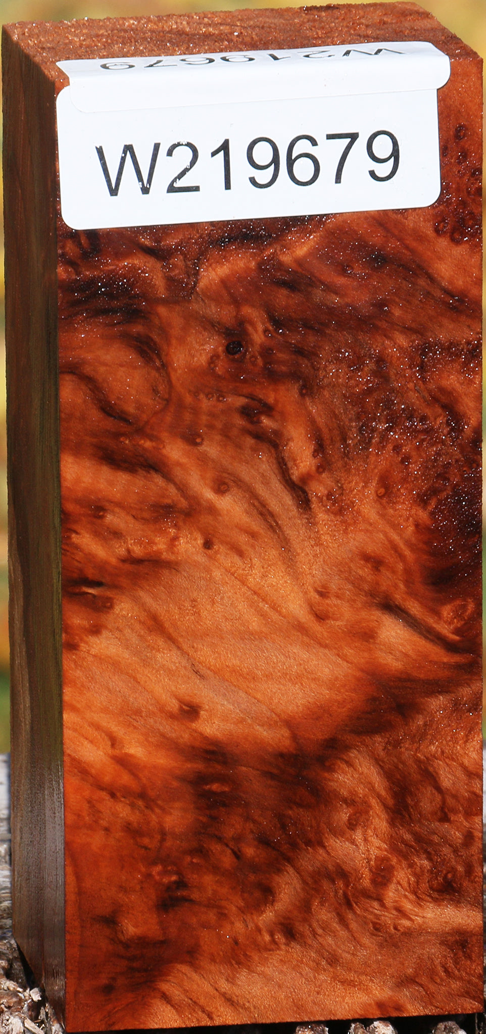 Redwood Burl Turning Square