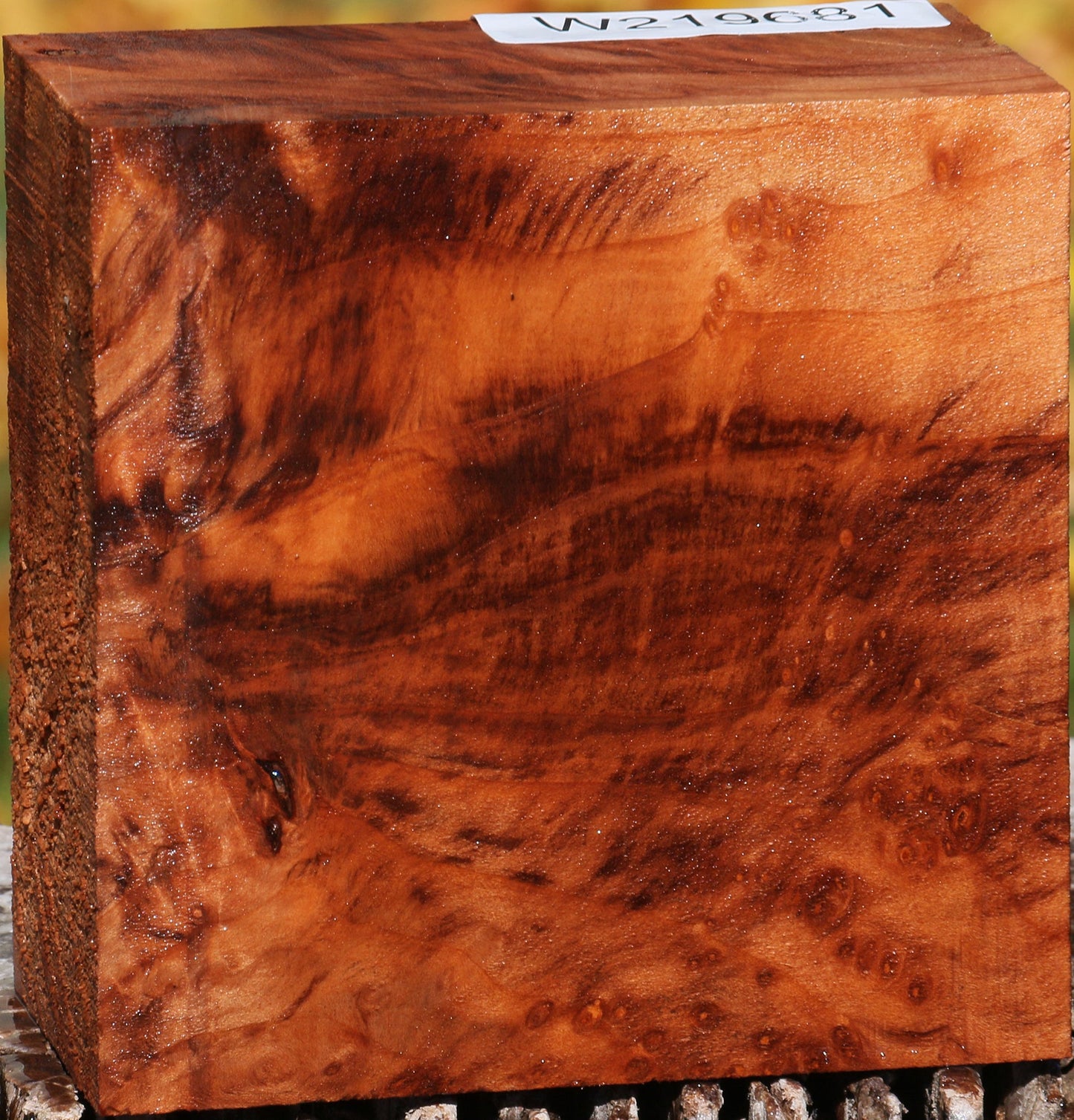 Redwood Burl Bowl Blank