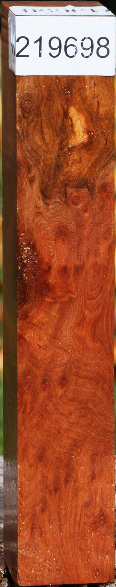 Redwood Burl Turning Square