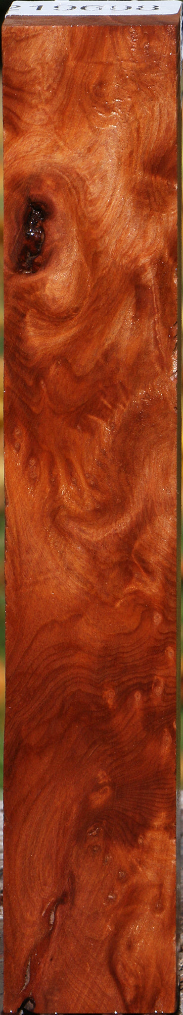 Redwood Burl Turning Square