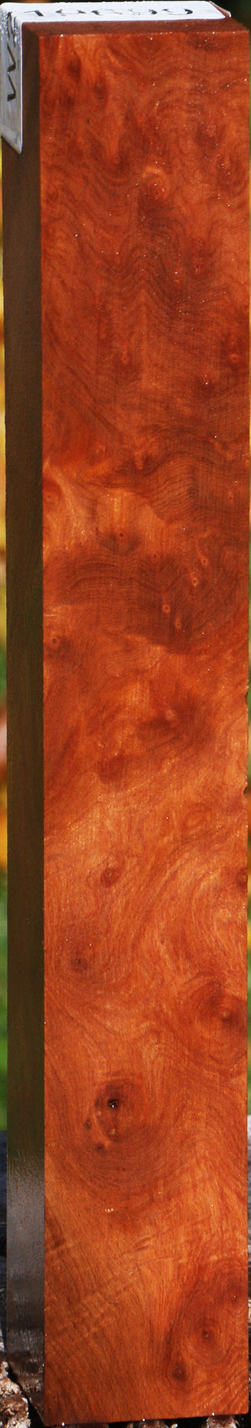 Redwood Burl Turning Square