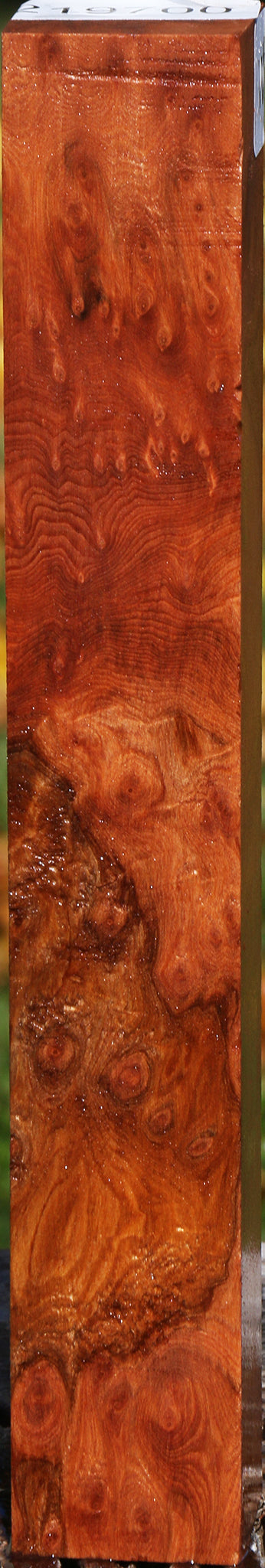 Redwood Burl Turning Square