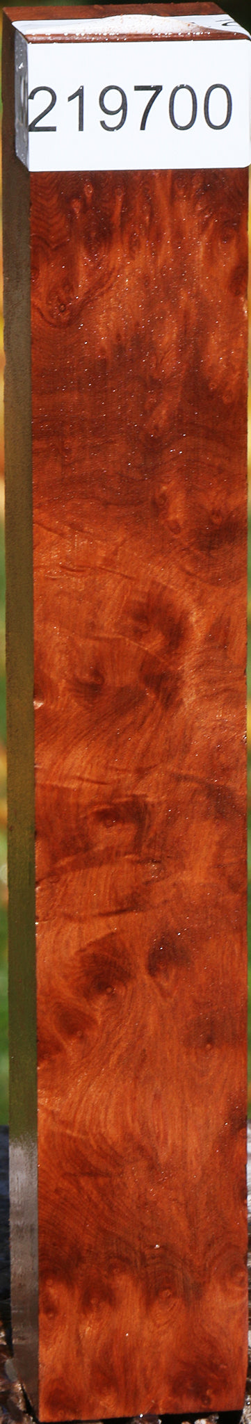 Redwood Burl Turning Square