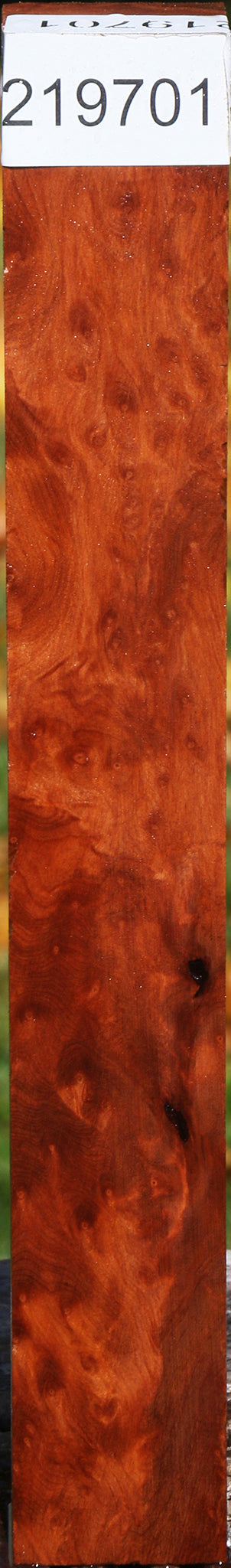 Redwood Burl Turning Square