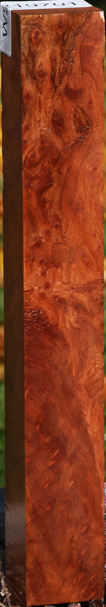 Redwood Burl Turning Square