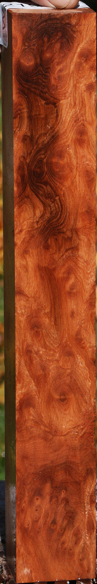 Redwood Burl Turning Square