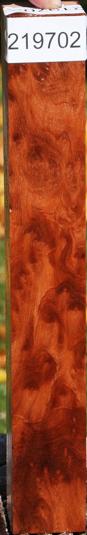 Redwood Burl Turning Square