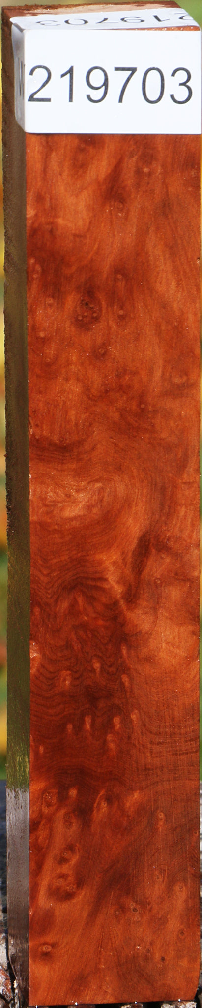 Redwood Burl Turning Square