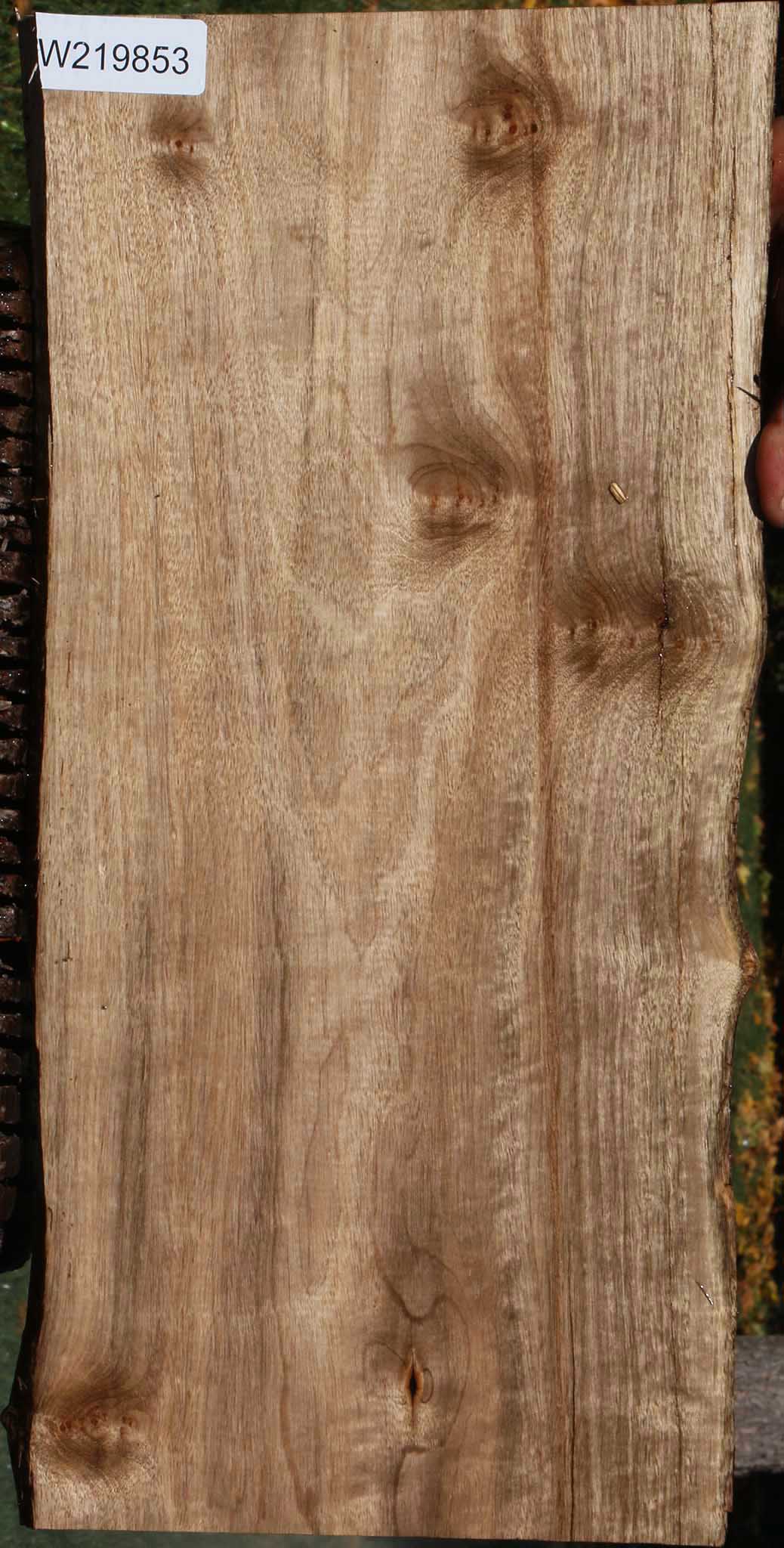 Myrtle Live Edge Lumber