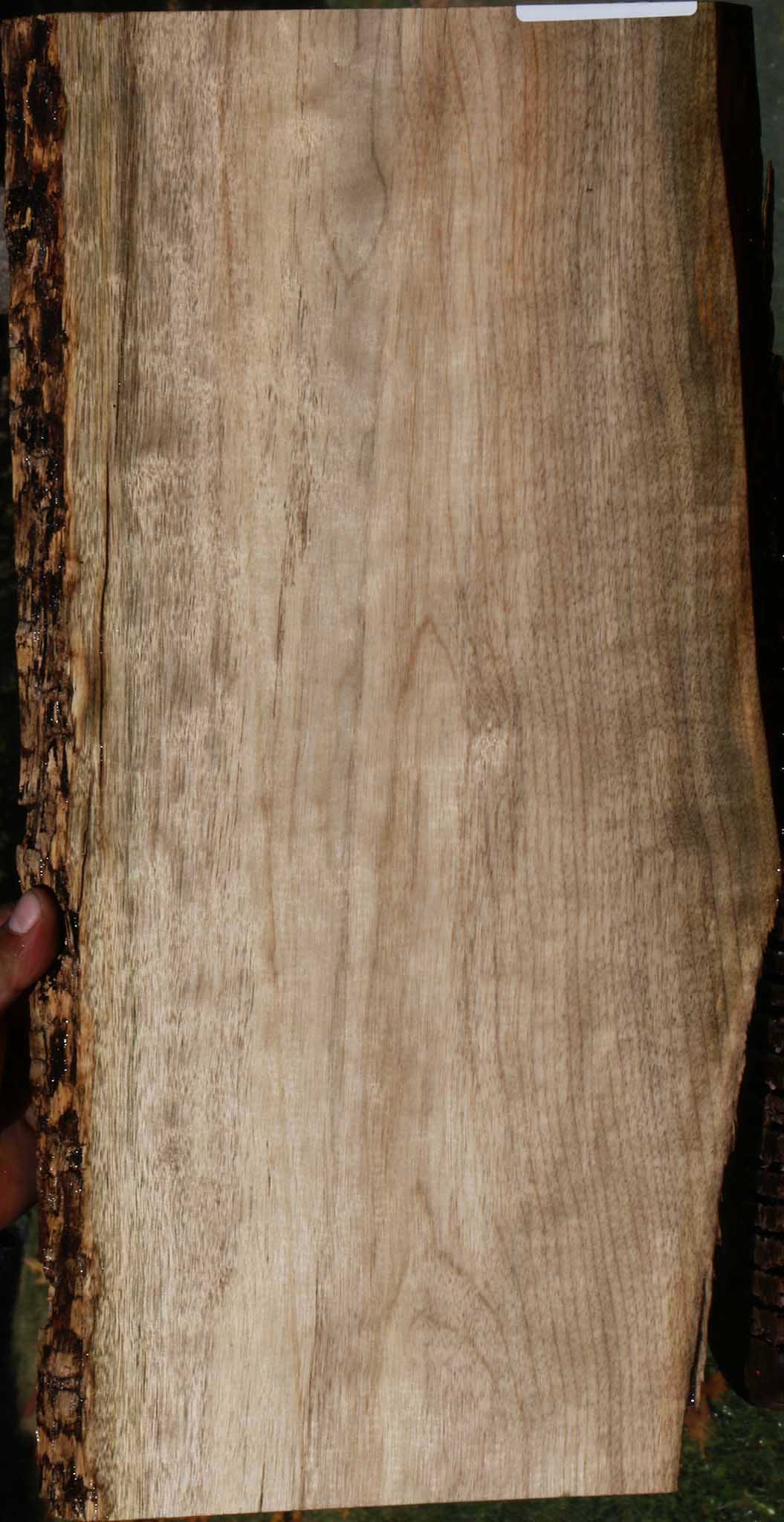 Myrtle Live Edge Lumber