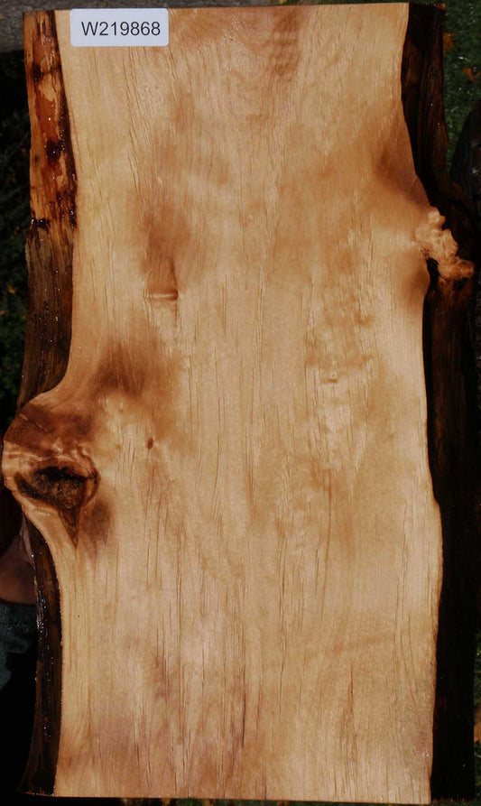 Alder Live Edge Lumber