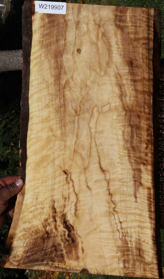 Extra Fancy English Walnut Live Edge Micro Lumber