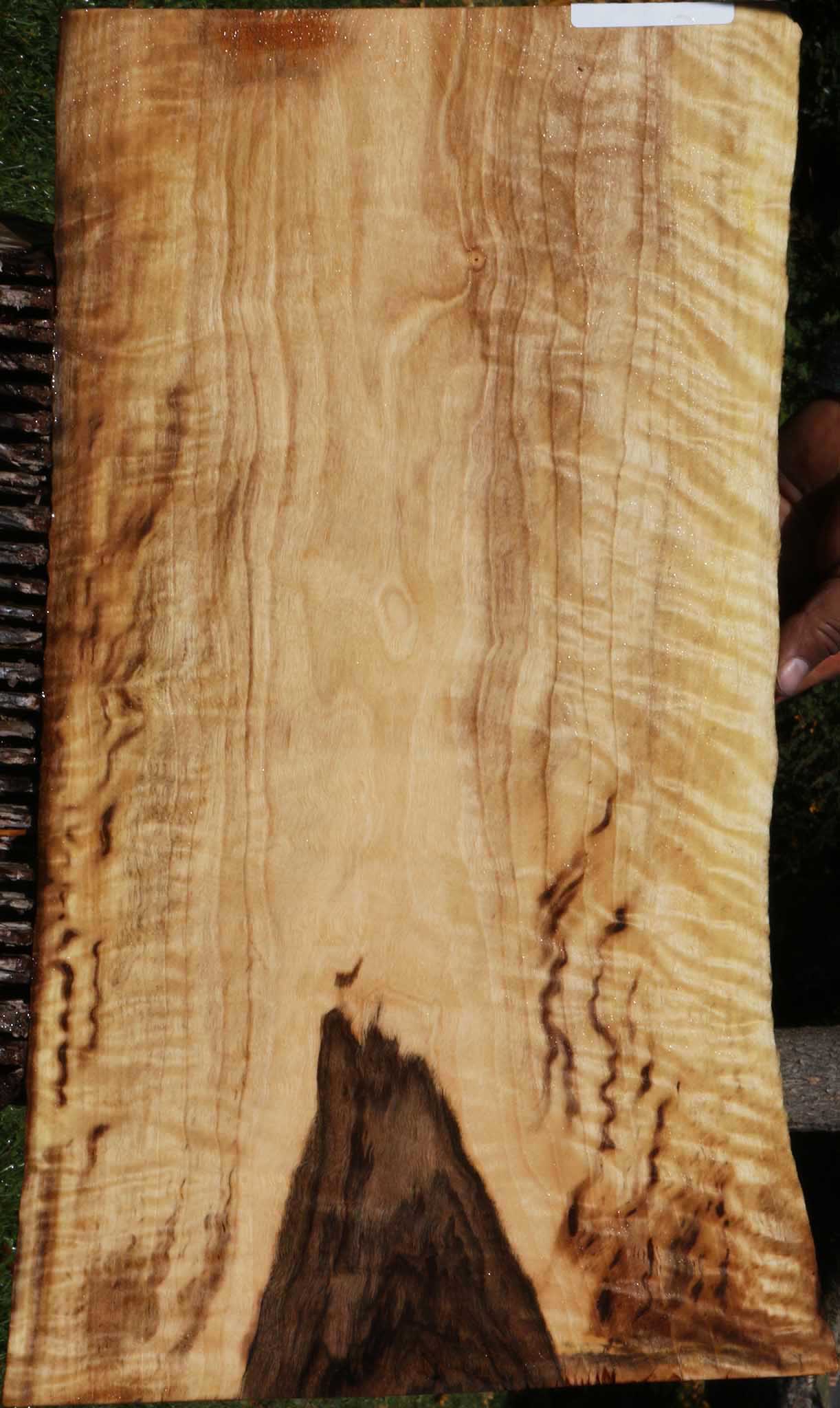 Extra Fancy English Walnut Live Edge Micro Lumber