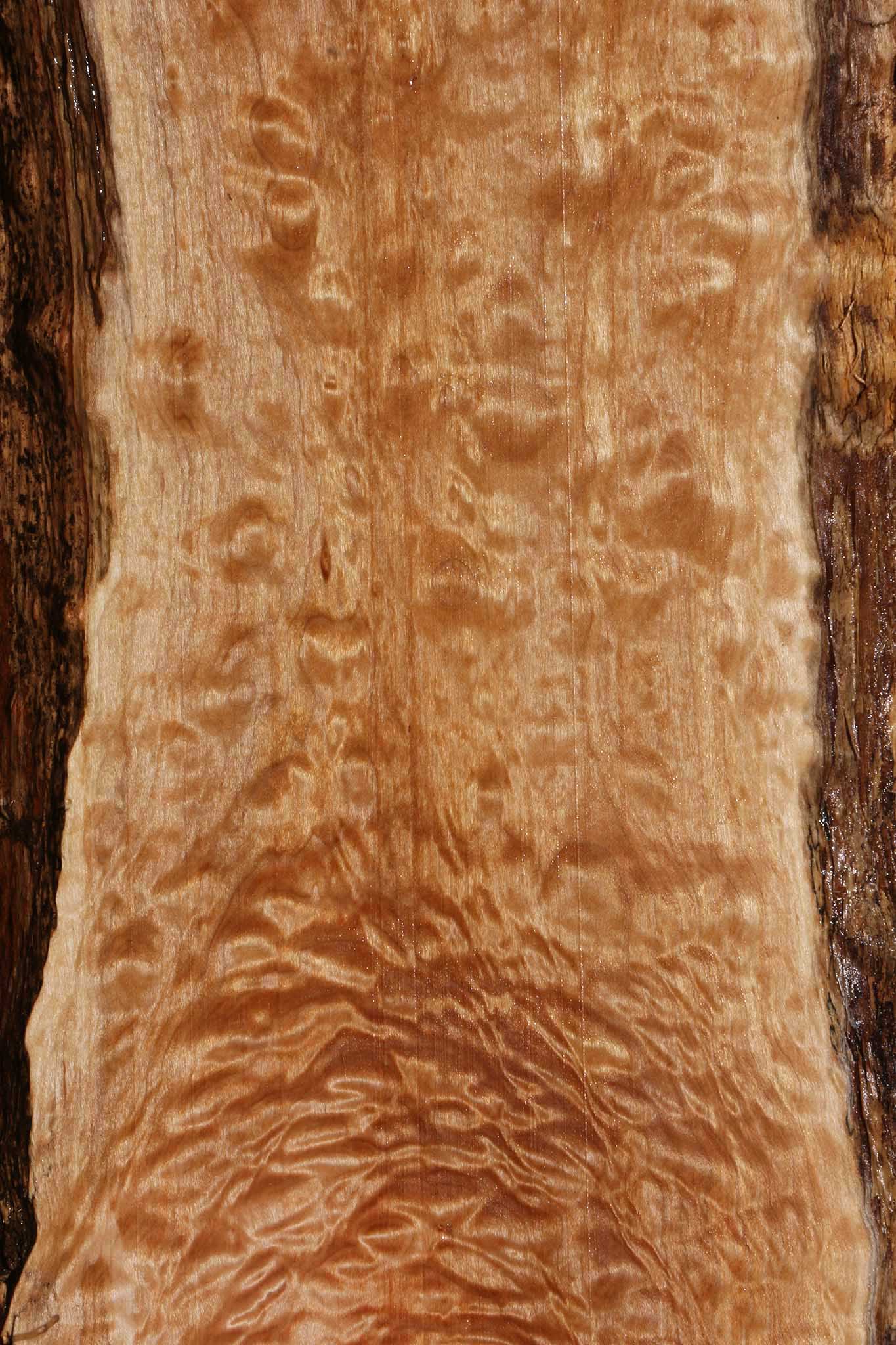 Extra Fancy Maple Live Edge Lumber