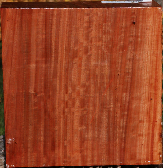 Extra Fancy Red Ironbark Bowl Blank