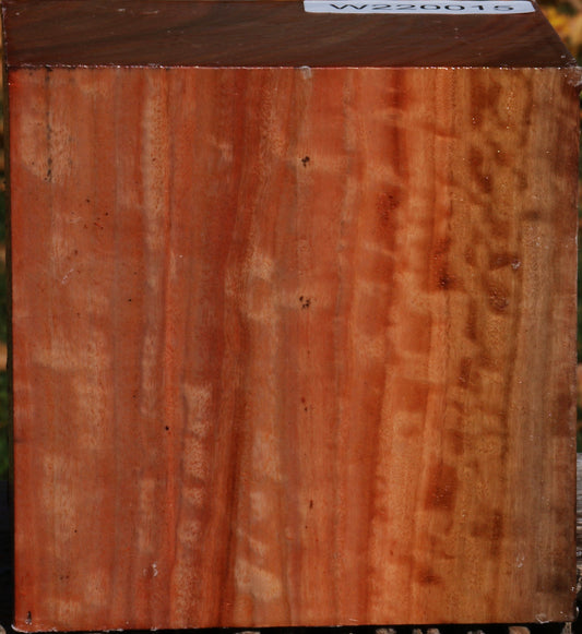 Extra Fancy Red Ironbark Bowl Blank