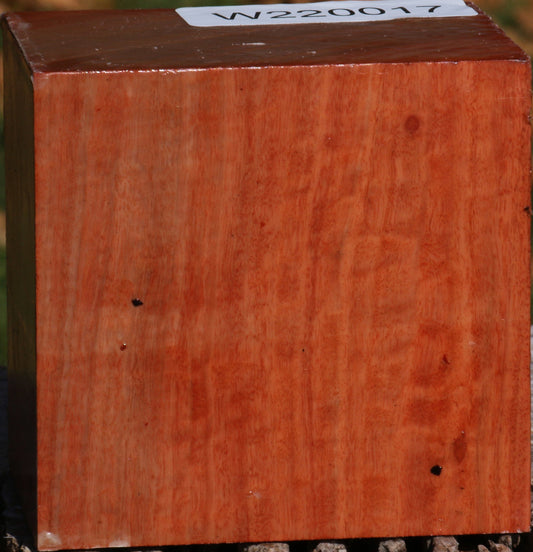 Extra Fancy Red Ironbark Bowl Blank