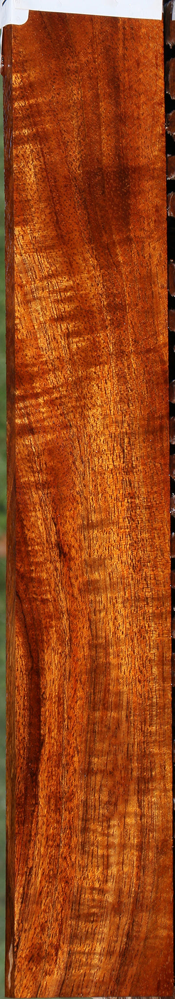 Extra Fancy Hawaiian Koa Micro Lumber