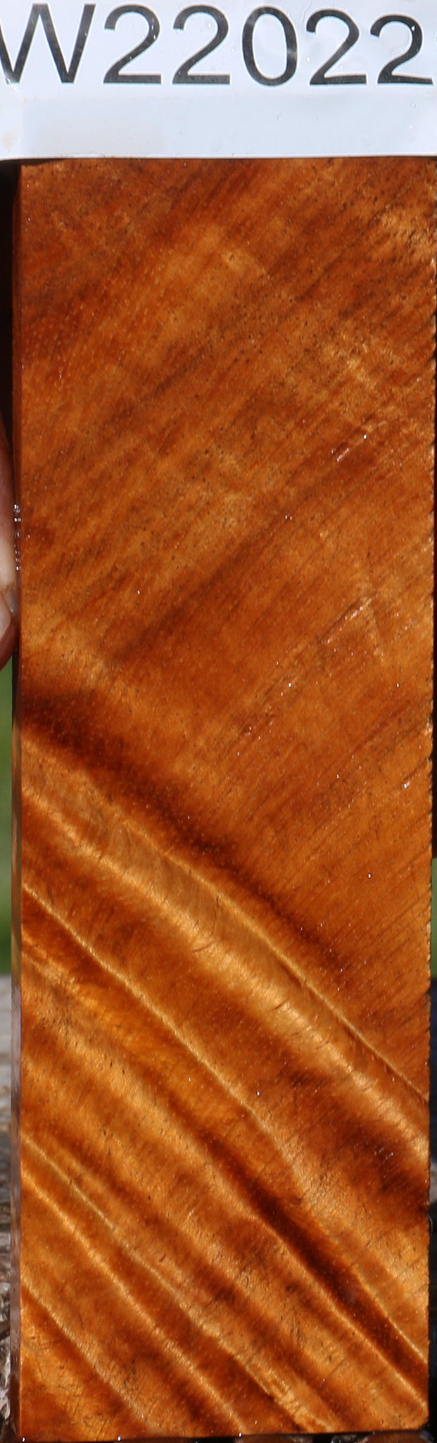 Figured Hawaiian Koa Micro Lumber