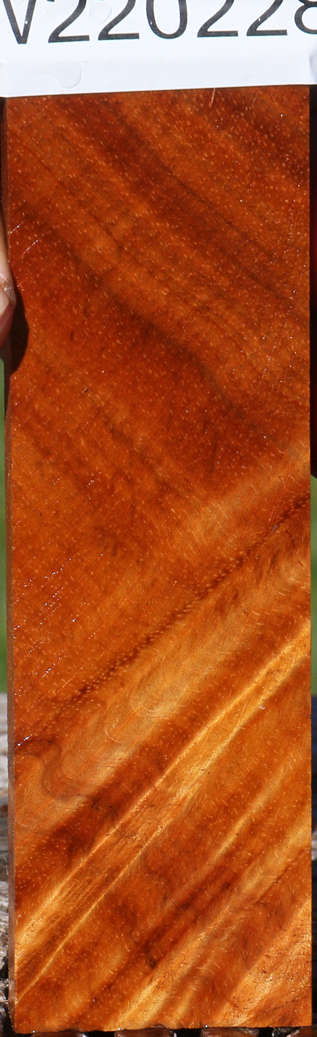 Figured Hawaiian Koa Micro Lumber