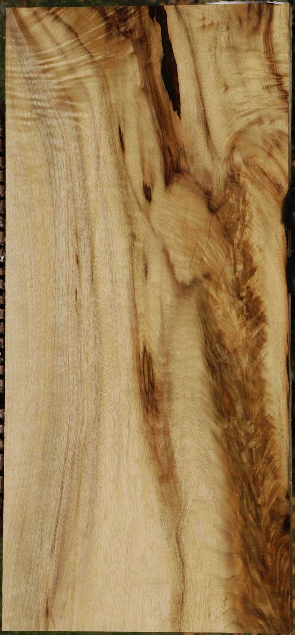 Extra Fancy Figured Myrtle Lumber