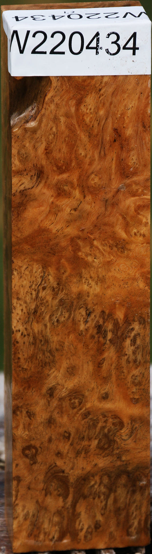 Hopea Stone Burl Turning Blank