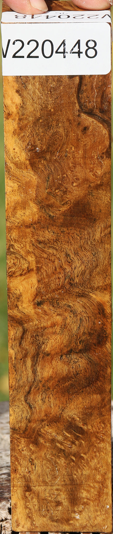 Hopea Stone Burl Turning Square