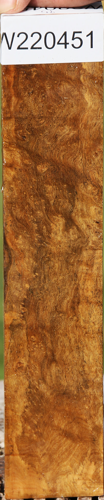 Hopea Stone Burl Turning Square