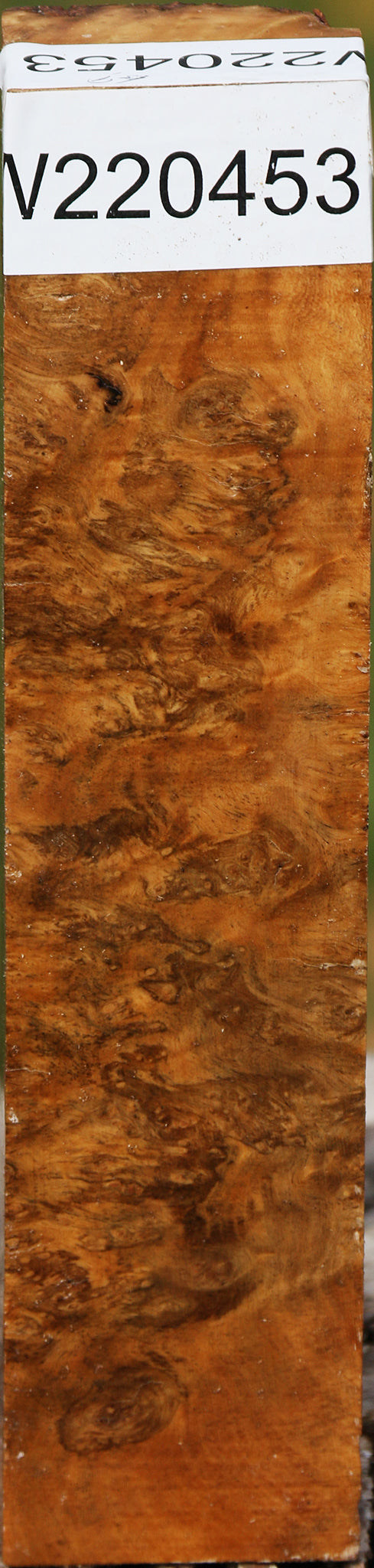 Hopea Stone Burl Turning Square