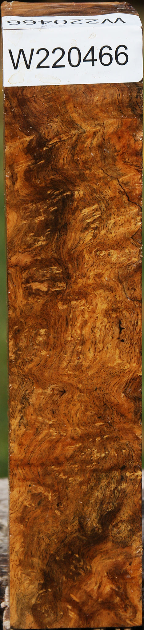 Hopea Stone Burl Turning Square