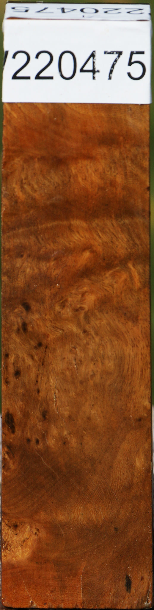 Hopea Stone Burl Turning Blank