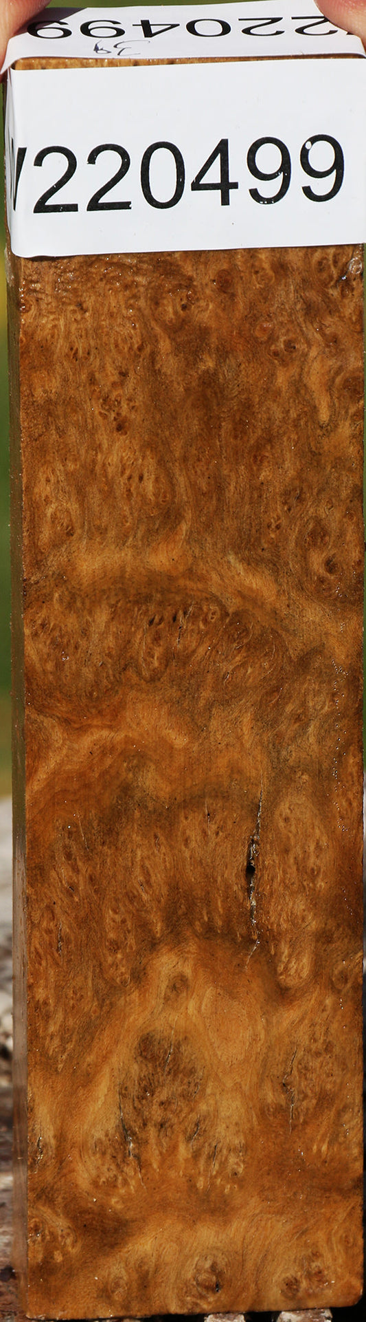 Hopea Stone Burl Lumber