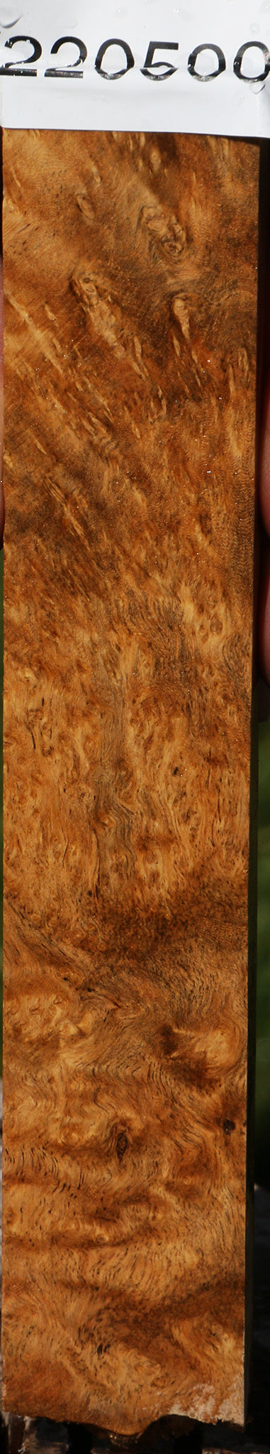 Hopea Stone Burl Micro Lumber