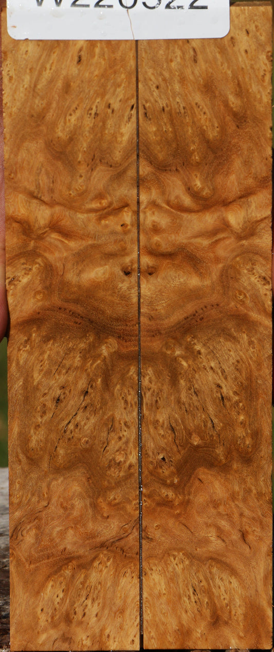 Hopea Stone Burl Knife Scales