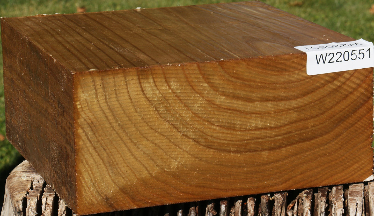 Chinese Bean Tree Bowl Blank