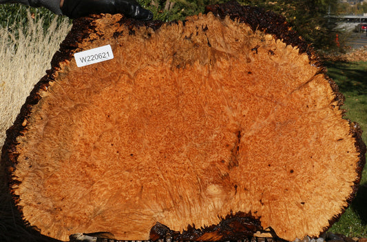 Maple Burl Cookie