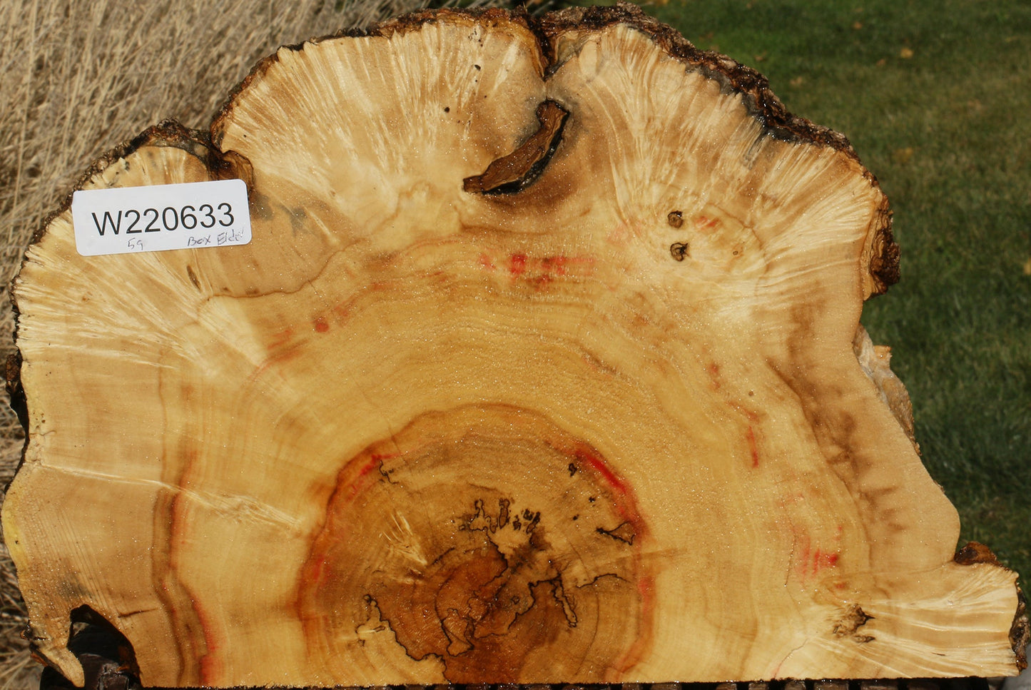 Box Elder Slice