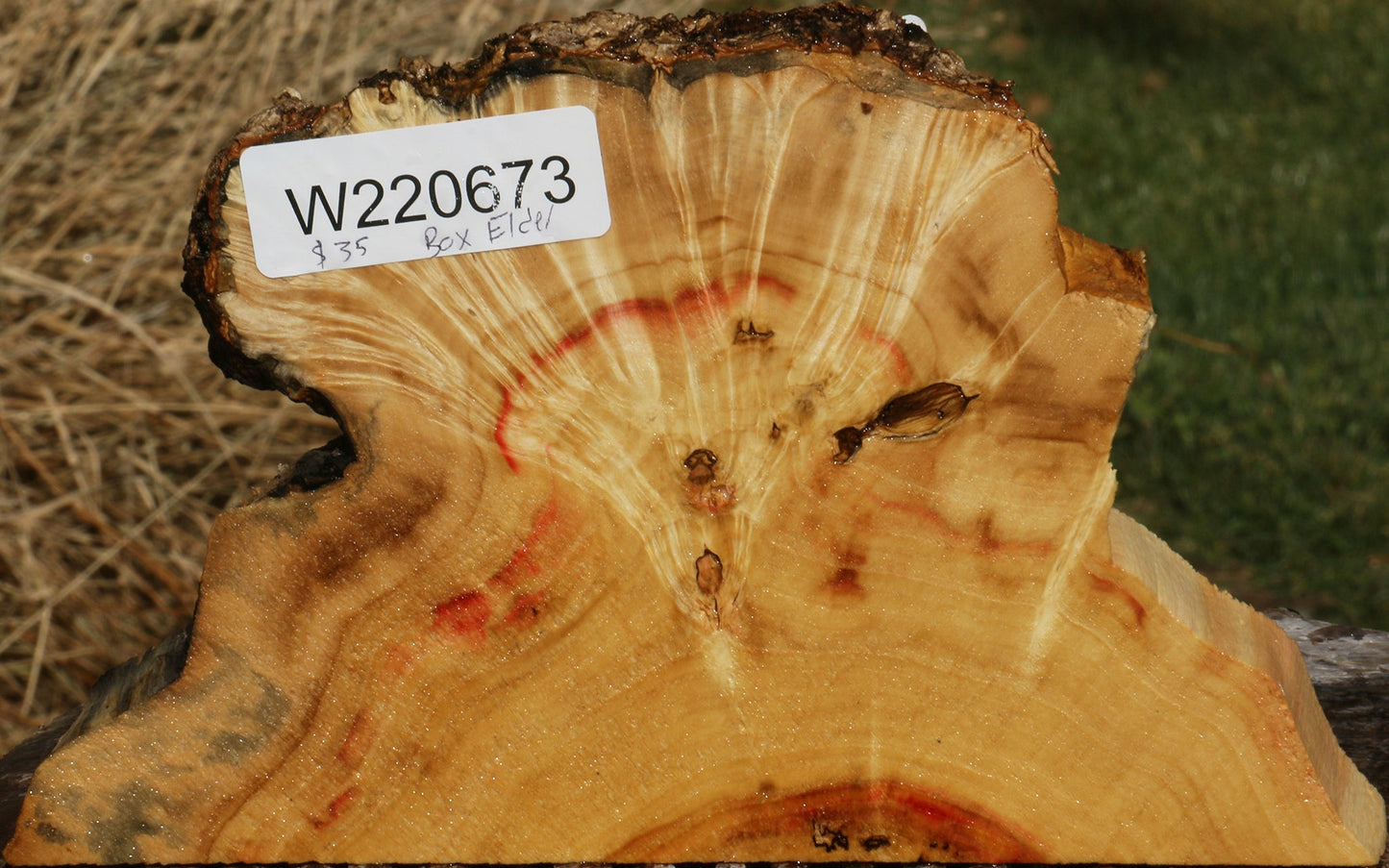 Box Elder Slice