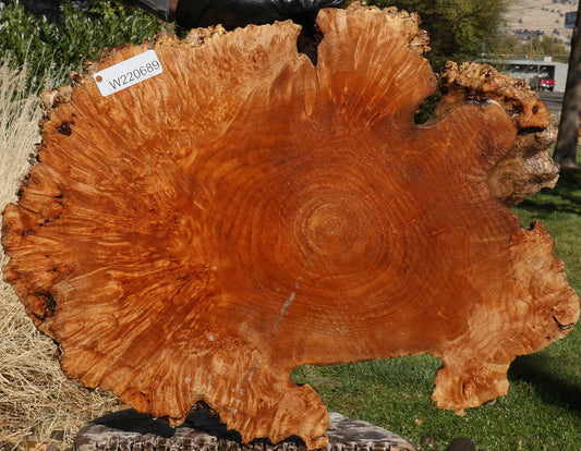 Maple Burl Cookie