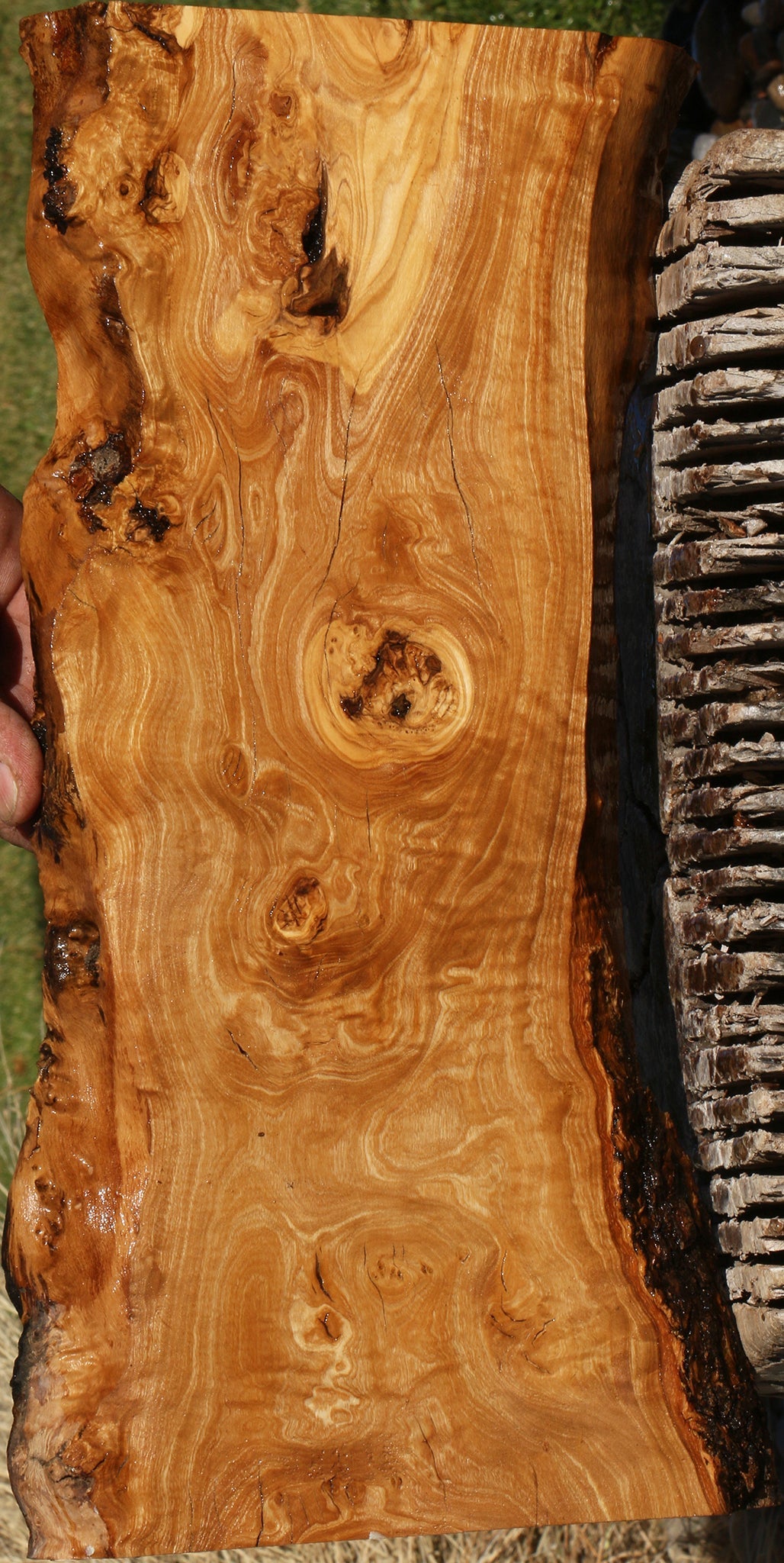 Extra Fancy Italian Olive Live Edge Lumber