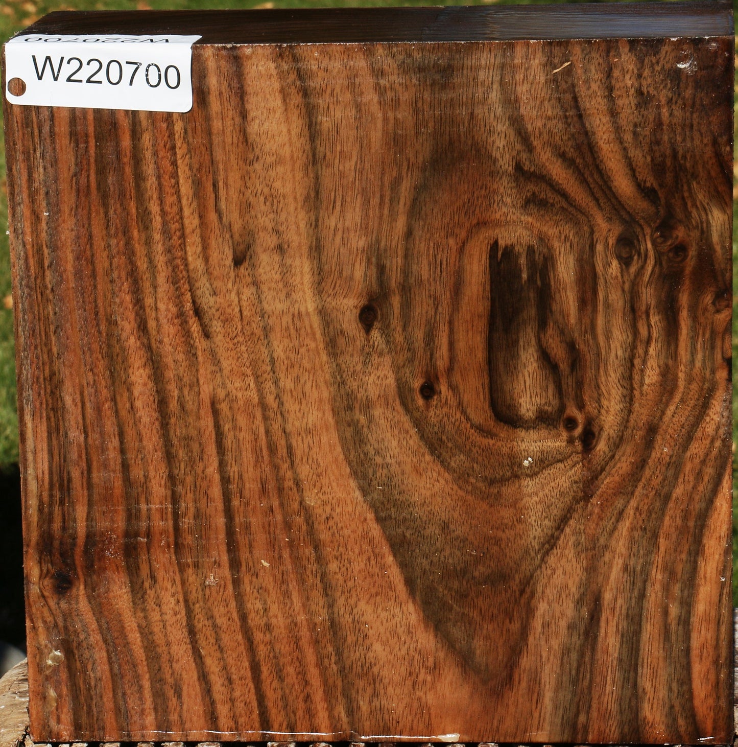 Extra Fancy English Walnut Bowl Blank