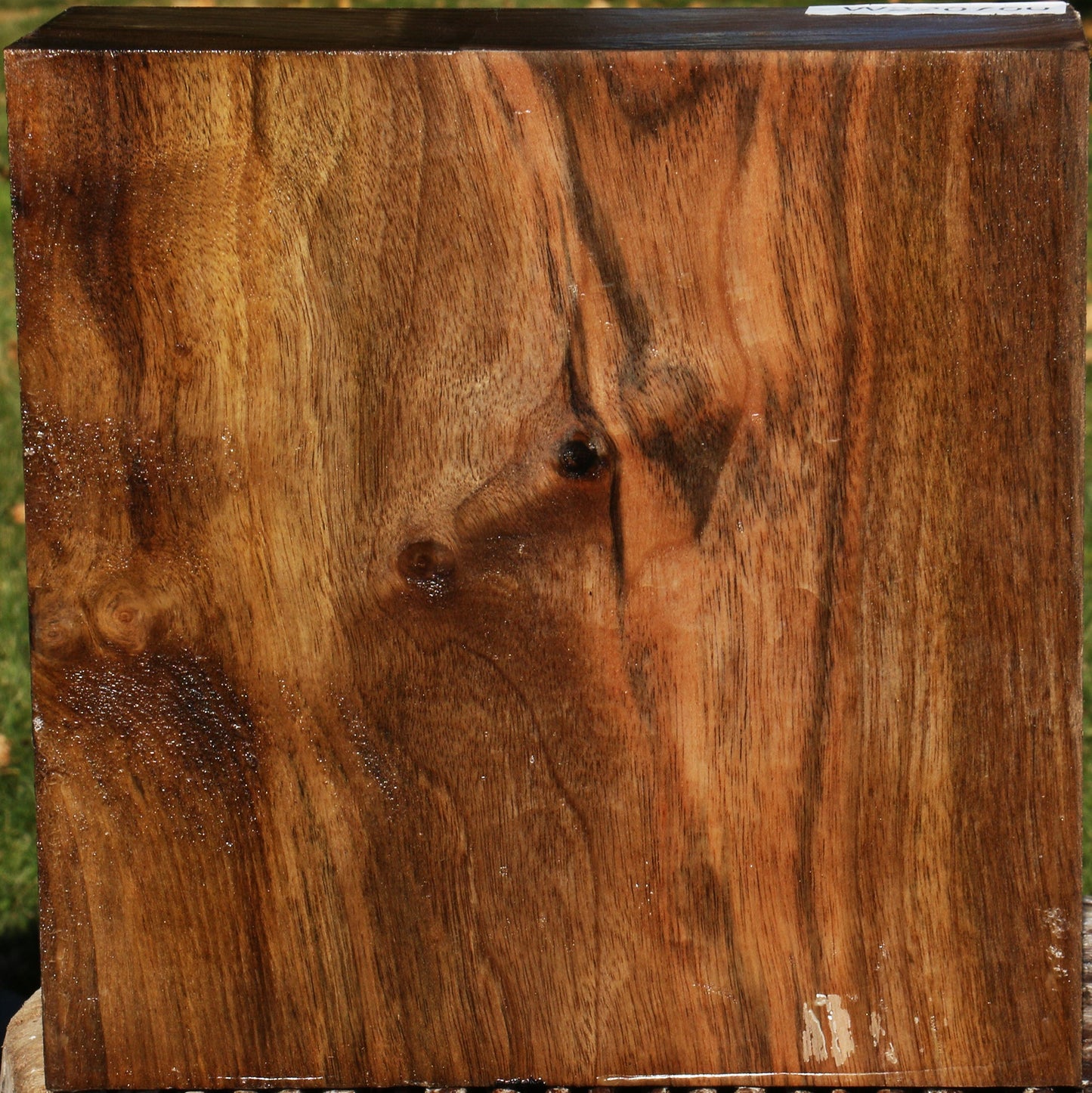 Extra Fancy English Walnut Bowl Blank