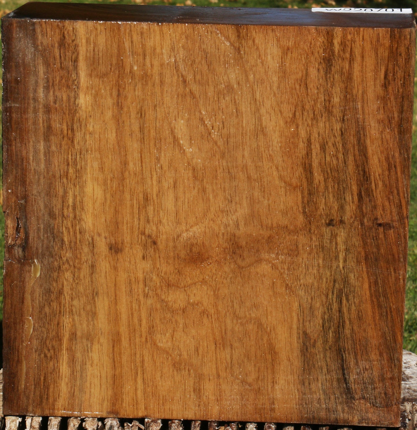 Extra Fancy English Walnut Bowl Blank