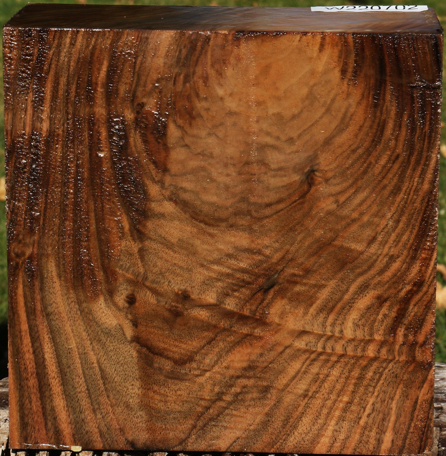 Extra Fancy English Walnut Bowl Blank