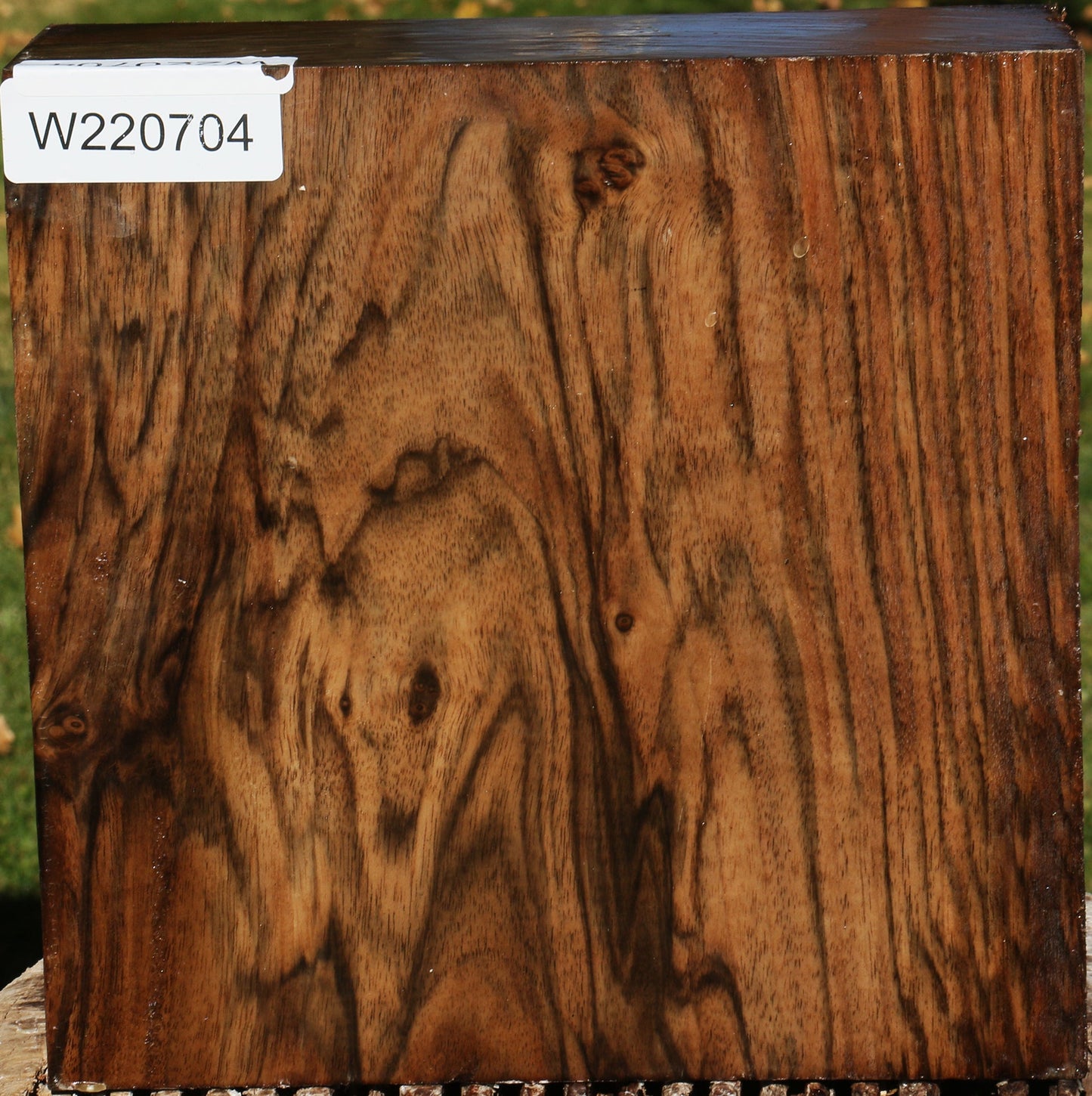 Extra Fancy English Walnut Bowl Blank