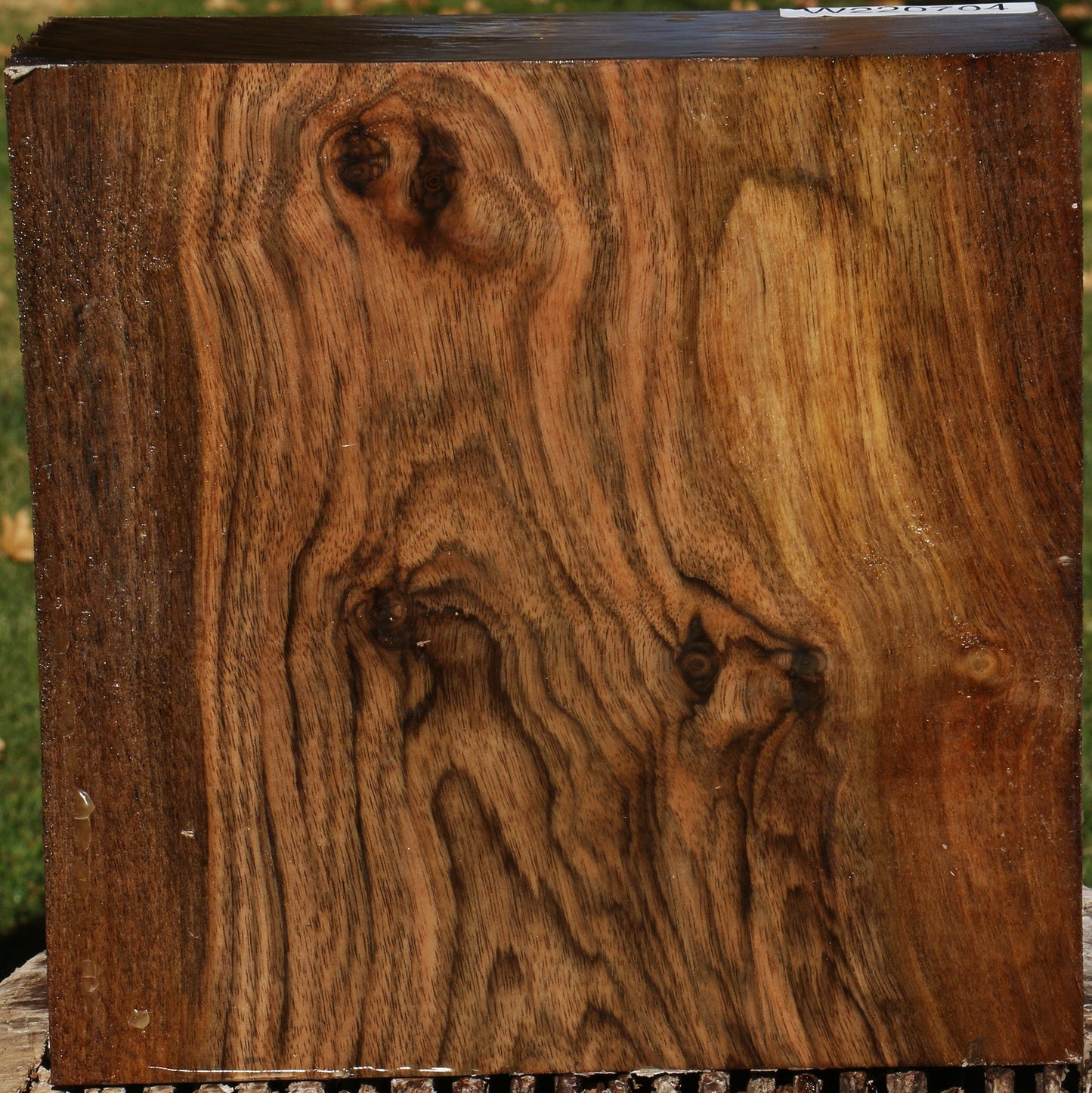 Extra Fancy English Walnut Bowl Blank