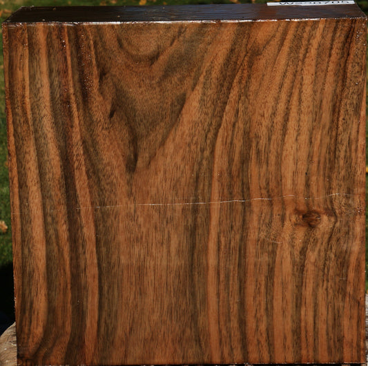 Extra Fancy English Walnut Bowl Blank