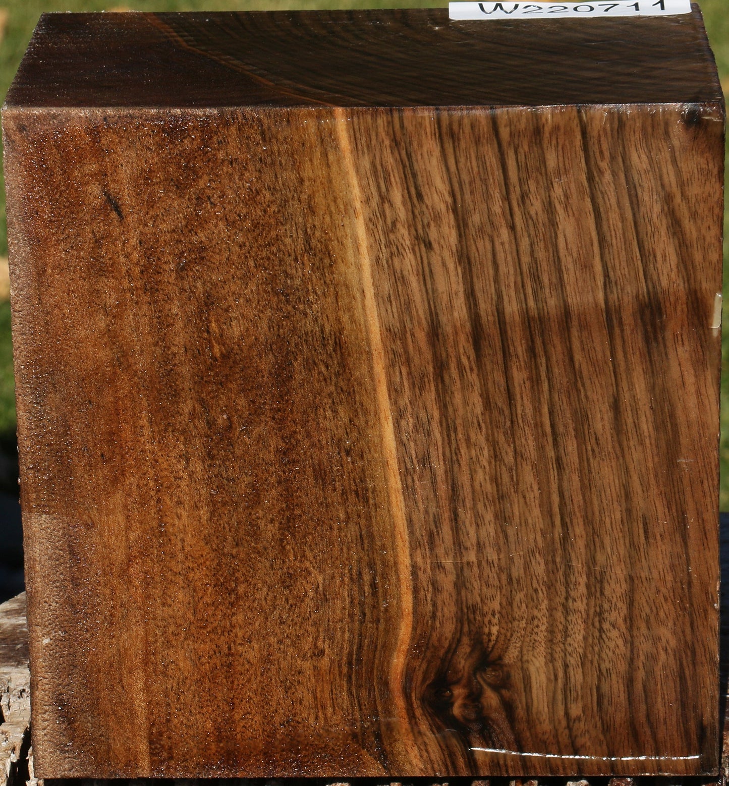 Extra Fancy English Walnut Bowl Blank